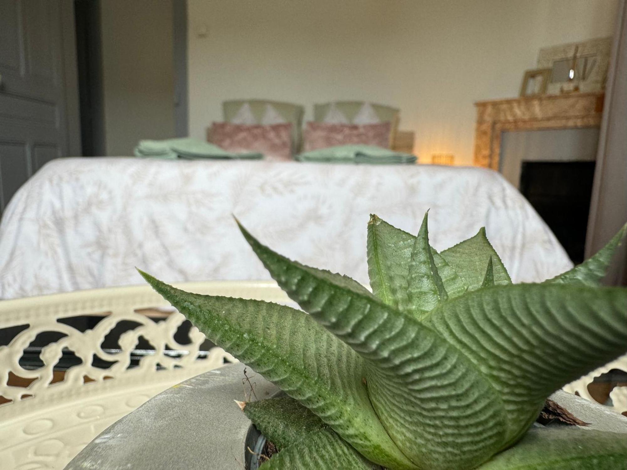 Apartment La Viarhona A Brégnier-Cordon Zewnętrze zdjęcie